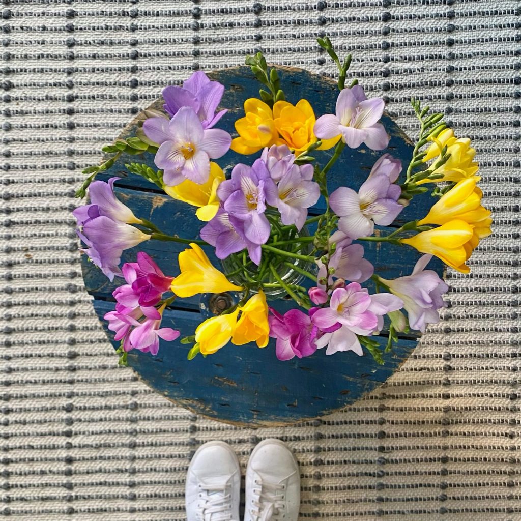 Freesia flowers opening in vase at home
